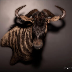 Wildebeest-mounted
