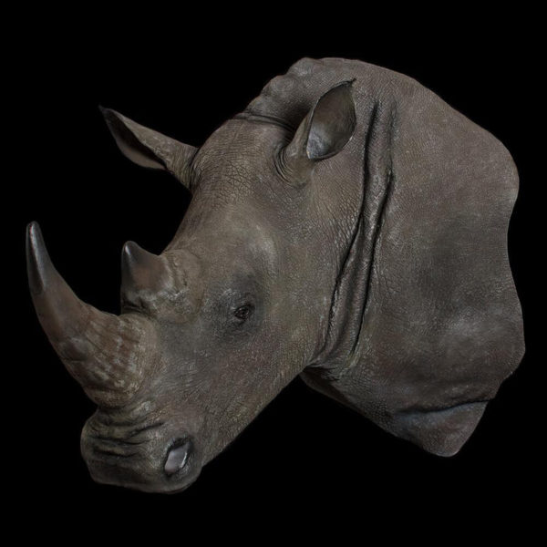 Rhino-Replica-Shoulder-Mount