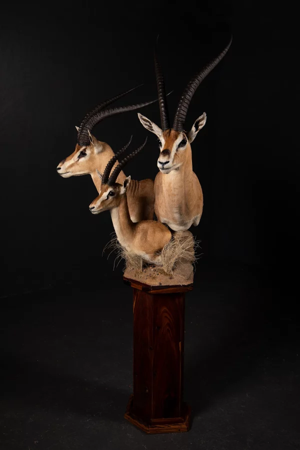 Grand & Thomson's Gazelle Floor Pedestal Mount