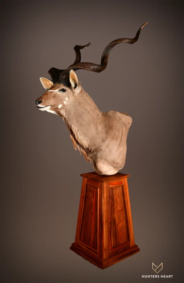 Greater Kudu Floor Pedestal Mount