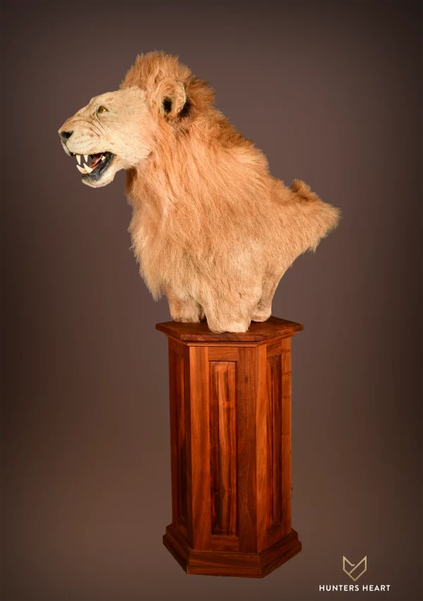 Lion Floor Pedestal Mount