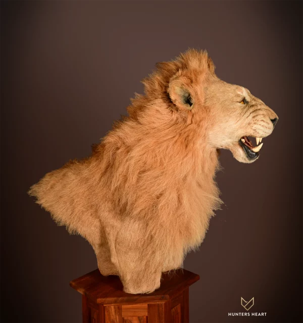 Lion Floor Pedestal Mount