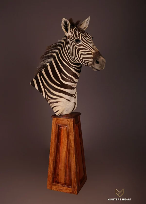 Zebra Floor Pedestal Mount