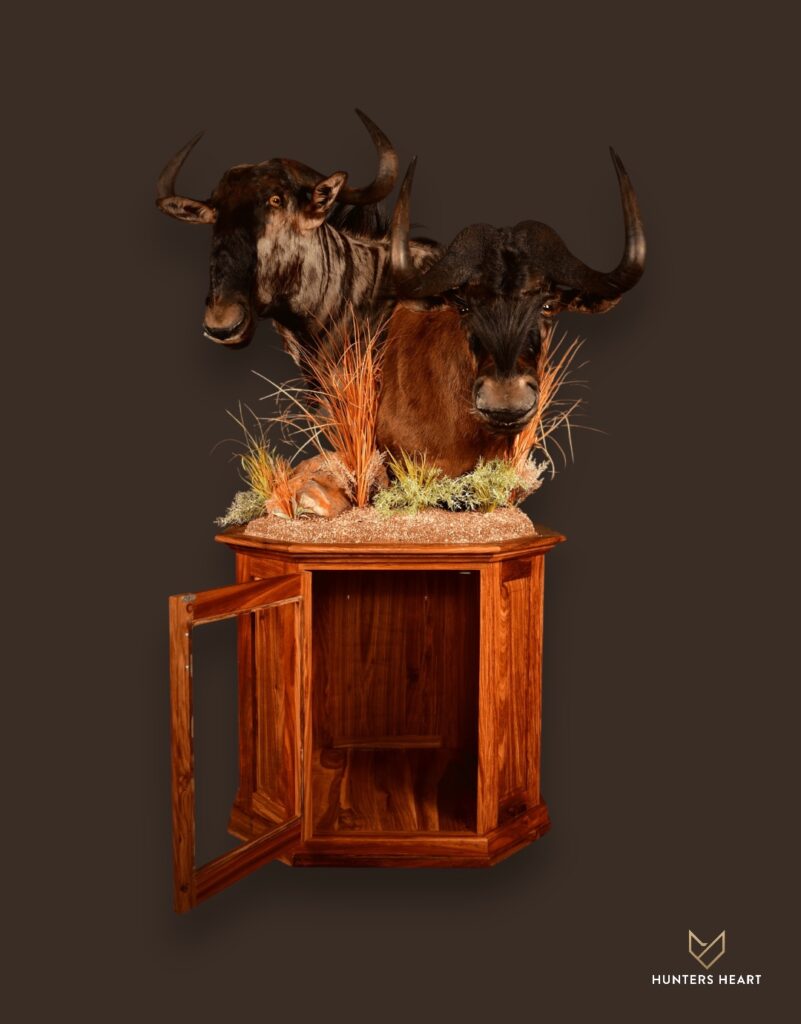 ALT TEXT|Blue Wildebeest & Black Wildebeest Chess Piece Pedestal Taxidermy - Premium Edition
