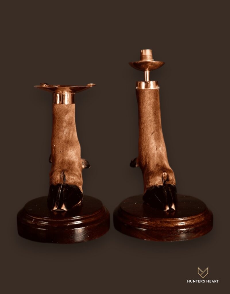 ALT TEXT|Blue Wildebeest Combination Mount Taxidermy - Custom Craftsmanship