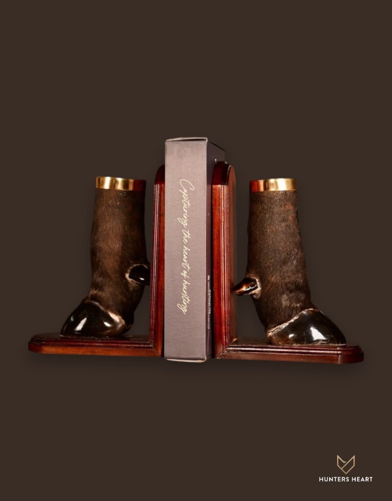 ALT TEXT|Cape Buffalo Curios Taxidermy - Heritage Quality
