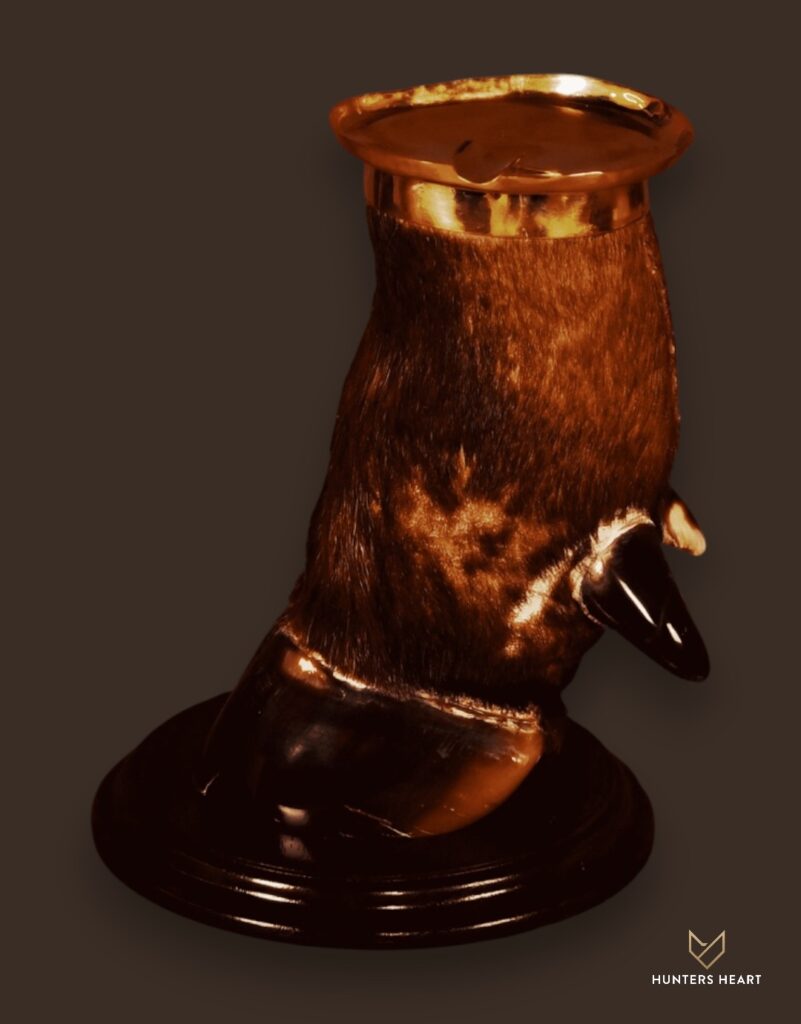 ALT TEXT|Cape Buffalo Curios Taxidermy - Custom Craftsmanship