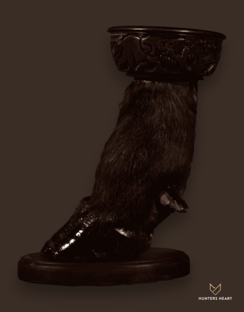 ALT TEXT|Cape Buffalo Curios Taxidermy - Premium Edition