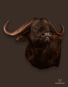 Cape Buffalo Shoulder Mount Taxidermy - Artisan Design