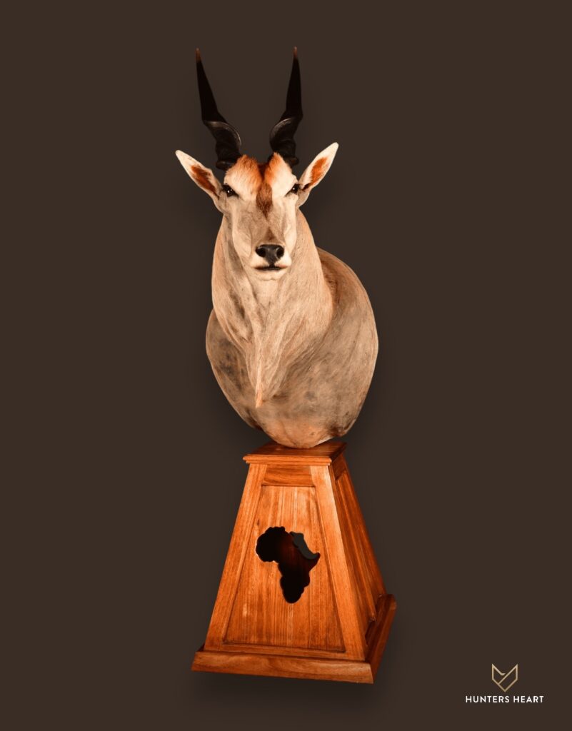 ALT TEXT|Eland Floor Pedestal Mount Taxidermy - Masterpiece Collection