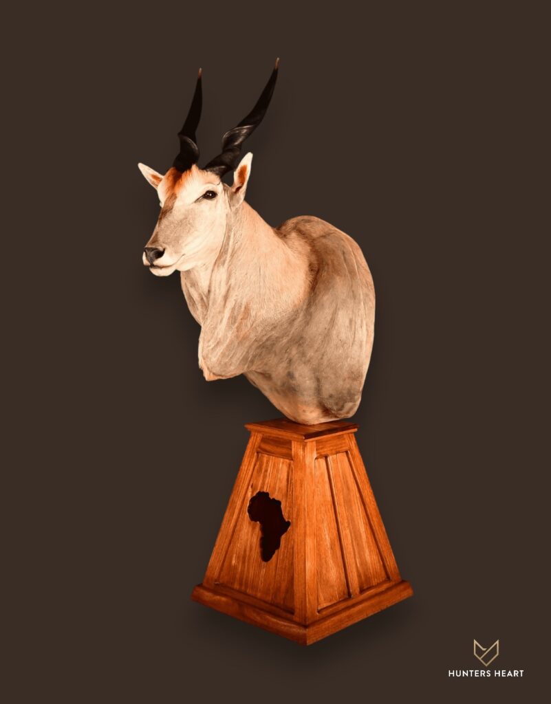 ALT TEXT|Eland Floor Pedestal Mount Taxidermy - Premium Edition