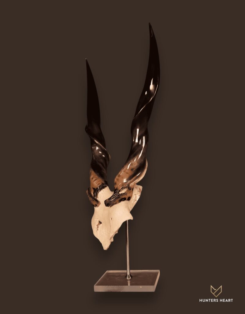ALT TEXT|Eland Tabletop Mount Taxidermy - Signature Series