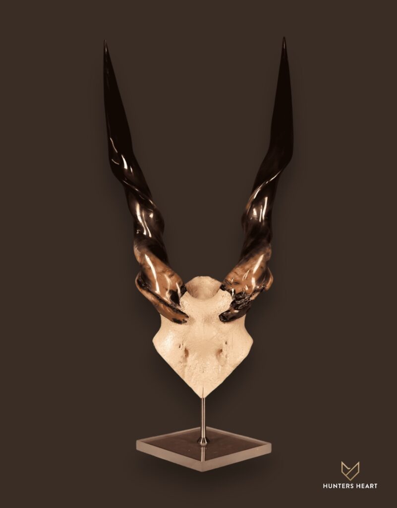 ALT TEXT|Eland Tabletop Mount Taxidermy - Masterpiece Collection
