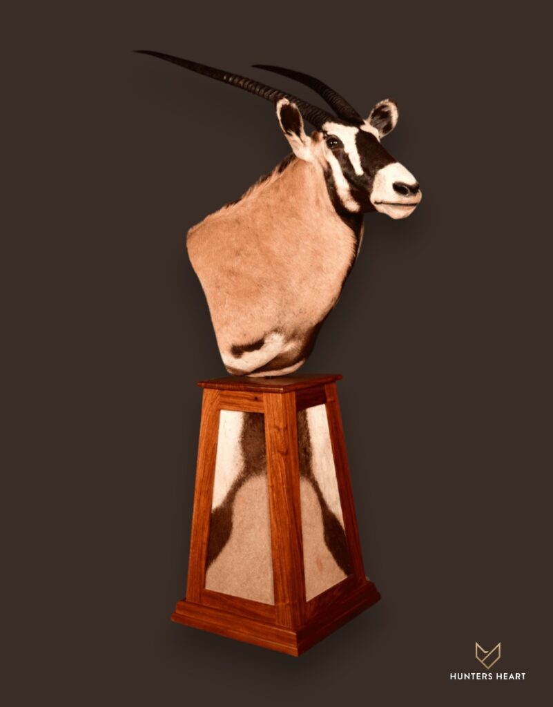 ALT TEXT|Gemsbuck Floor Pedestal Mount Taxidermy - Masterpiece Collection