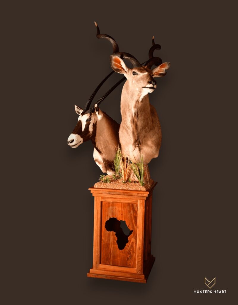 ALT TEXT|Gemsbuck & Kudu Floor Pedestal Mount Taxidermy - Premium Edition