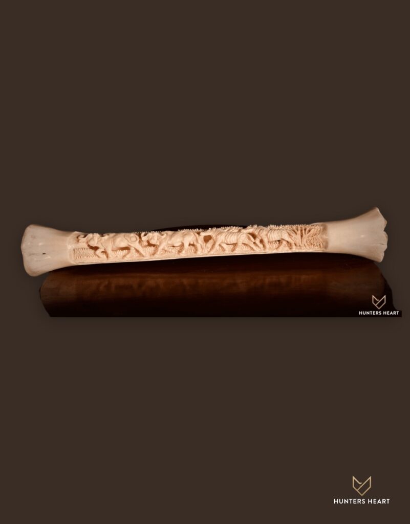ALT TEXT|Giraffe Leg Bones Taxidermy - Exclusive Mount