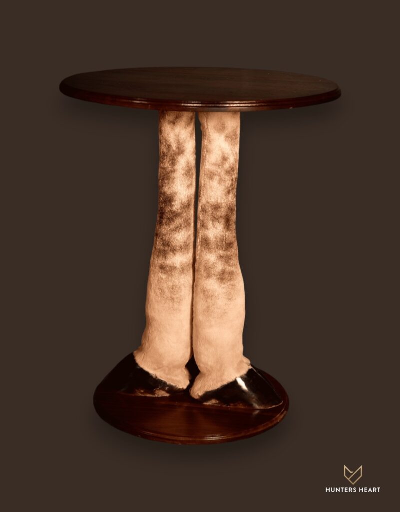 ALT TEXT|Giraffe Curios Taxidermy - Classic Display