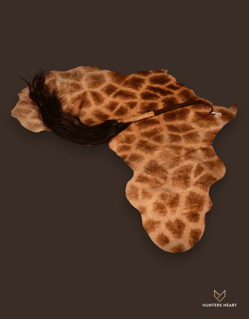 ALT TEXT|Giraffe Rug Mount Taxidermy - Artisan Design