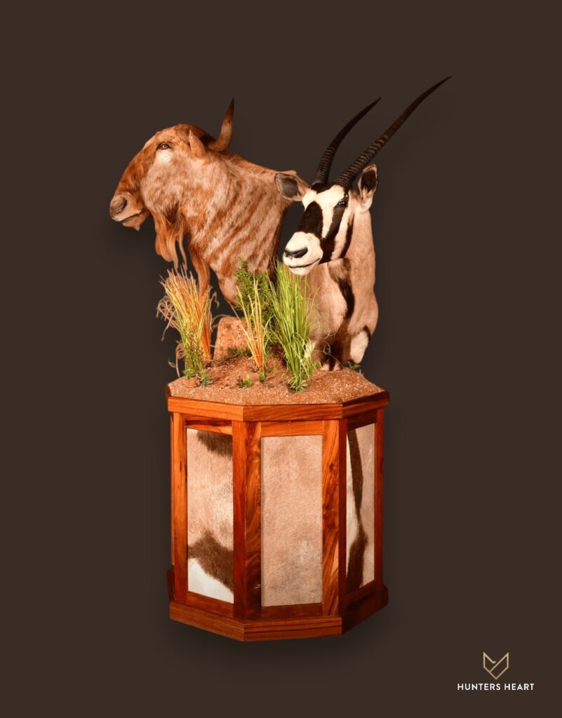 ALT TEXT|Golden Wildebeest & Gemsbuck Floor Pedestal Mount Taxidermy - Premium Edition