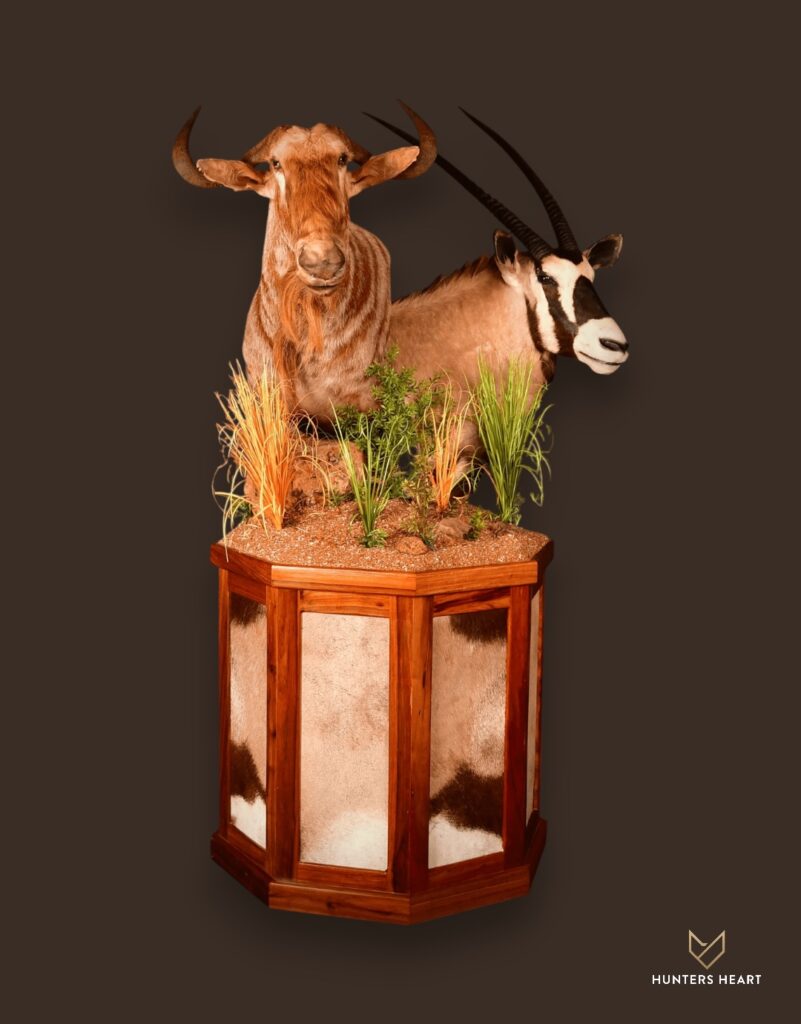 ALT TEXT|Golden Wildebeest & Gemsbuck Floor Pedestal Mount Taxidermy - Exclusive Mount