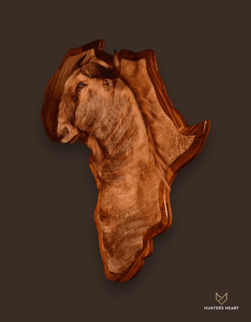 ALT TEXT|Golden Wildebeest 3D Wall Mount Taxidermy - Masterpiece Collection