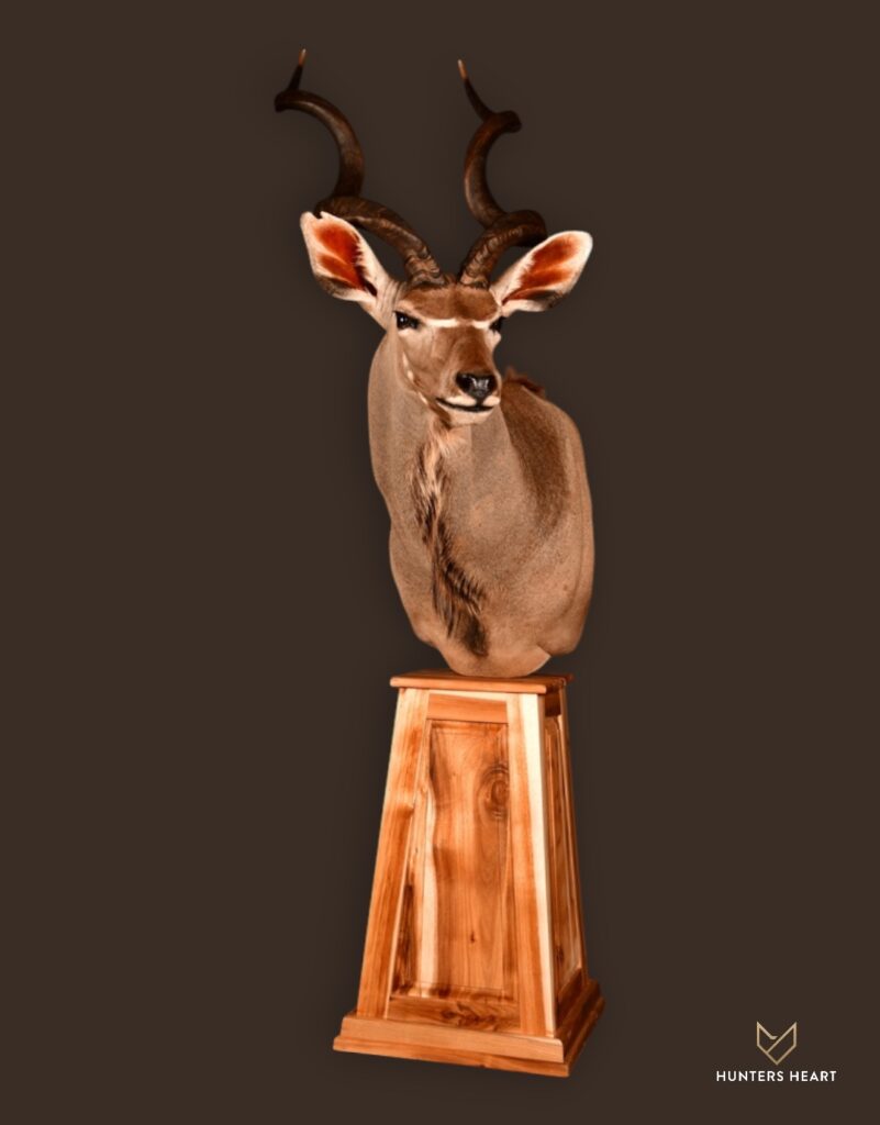 ALT TEXT|Greater Kudu Floor Pedestal Mount Taxidermy - Masterpiece Collection