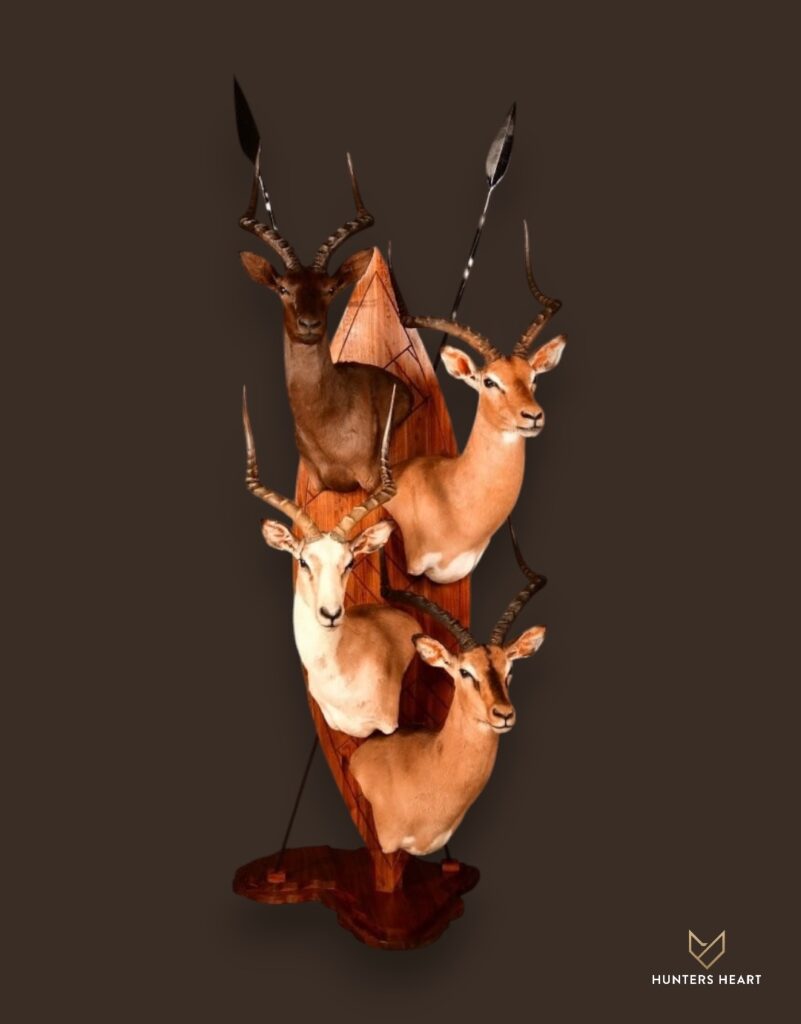 ALT TEXT|Impala Floor Pedestal Mount Taxidermy - Premium Edition