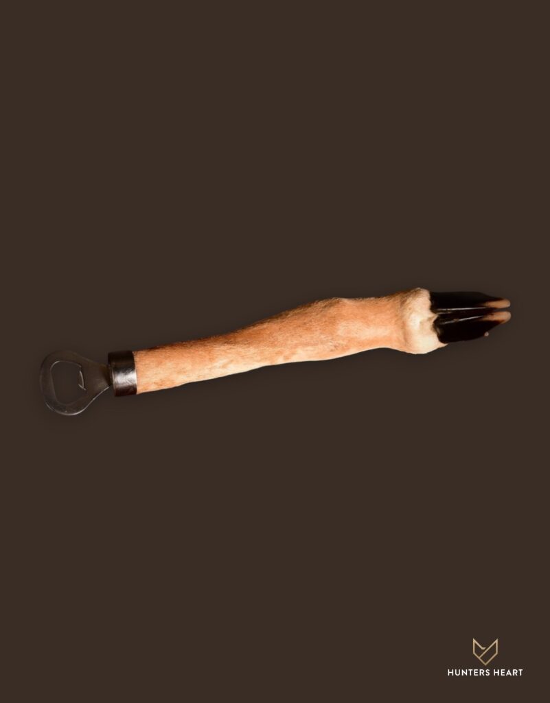 ALT TEXT|Impala Curios Taxidermy - Elite Selection