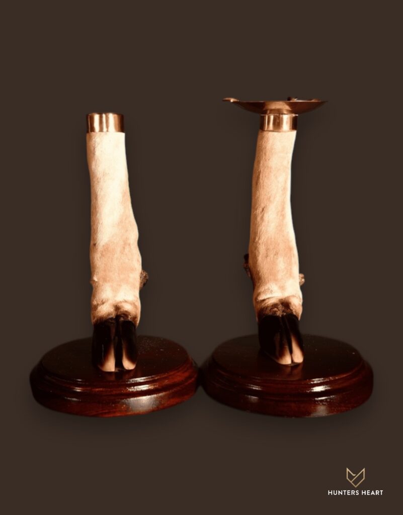 ALT TEXT|Greater Kudu Curios Taxidermy - Prestige Line