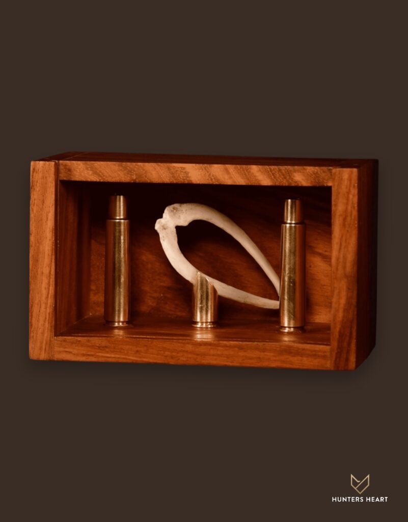 ALT TEXT|Lion Tusks Taxidermy - Signature Series