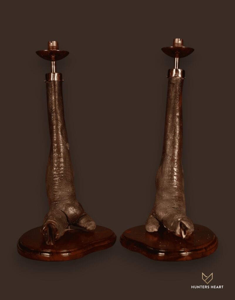 ALT TEXT|Ostrich Curios Taxidermy - Heritage Quality