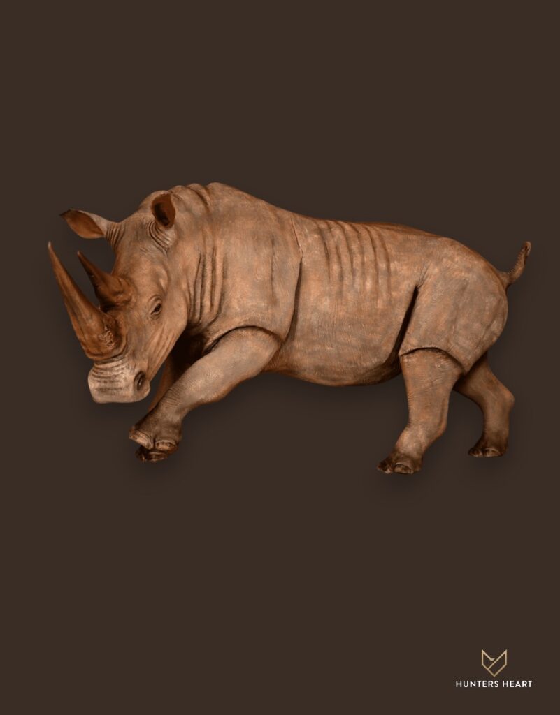 ALT TEXT|Rhino Life-Size mount Taxidermy - Signature Series