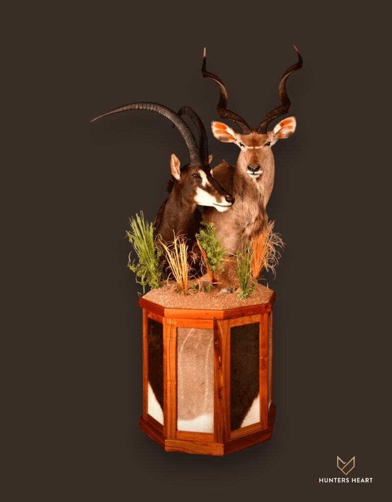 ALT TEXT|Sable & Greater Kudu Floor Pedestal Mount Taxidermy - Premium Edition