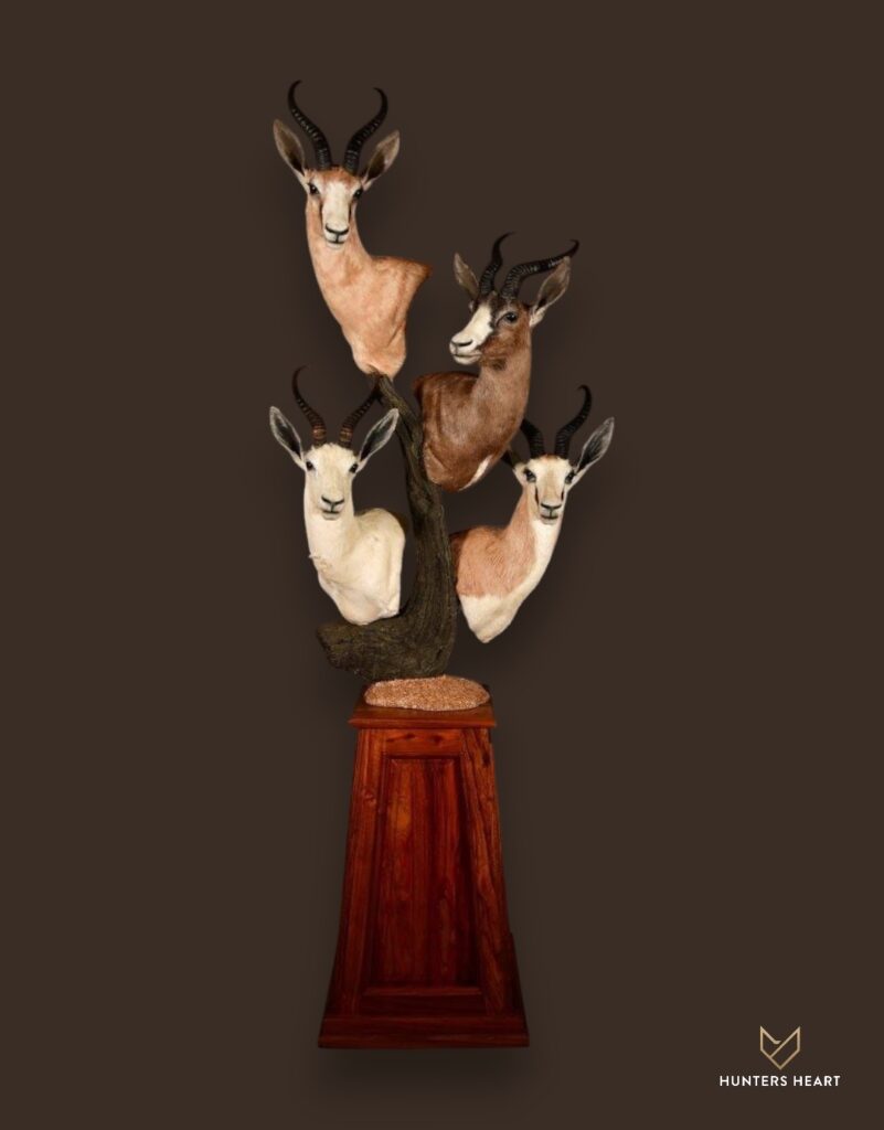 ALT TEXT|Springbuck Floor Pedestal Mount Taxidermy - Premium Edition