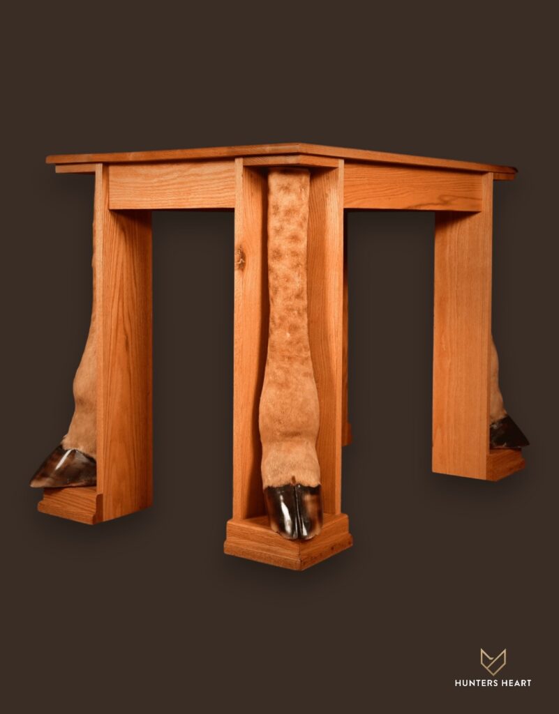 Giraffe Custom Furniture Taxidermy - Exclusive Mount