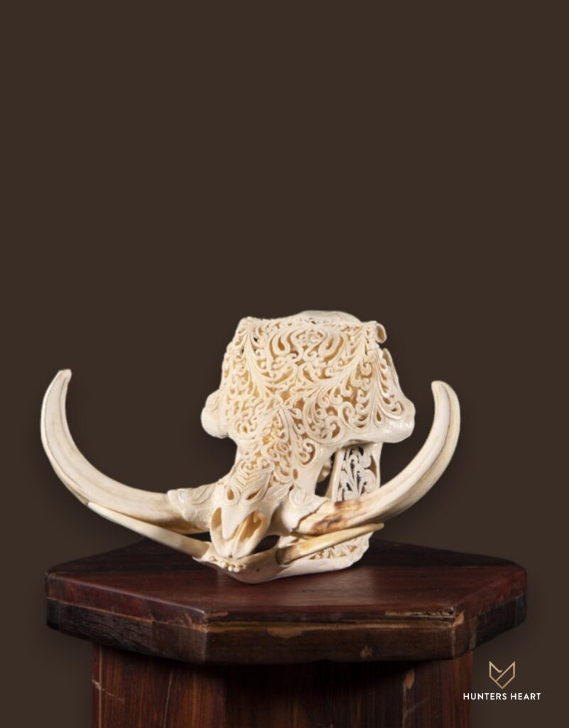 ALT TEXT|Warthog Custom Furniture Taxidermy - Masterpiece Collection