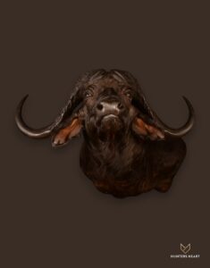Taxidermy Services in South Africa