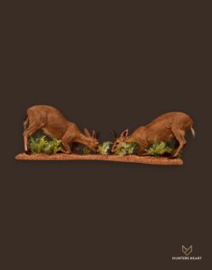 Duiker Combination Mount