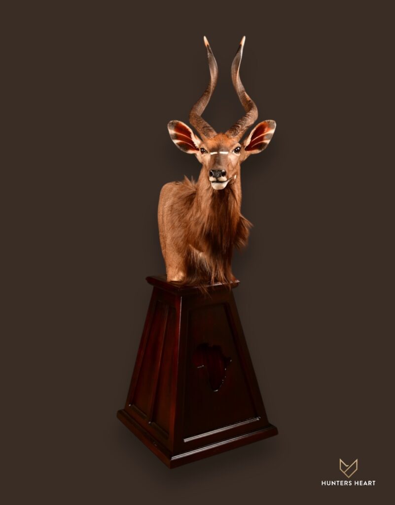 Nyala Floor Pedestal Mount (2)