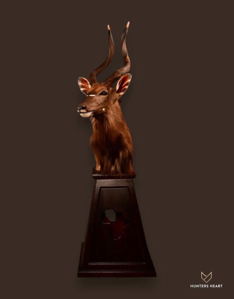 Nyala Floor Pedestal Mount