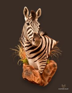 Zebra Wall Pedestal Mount