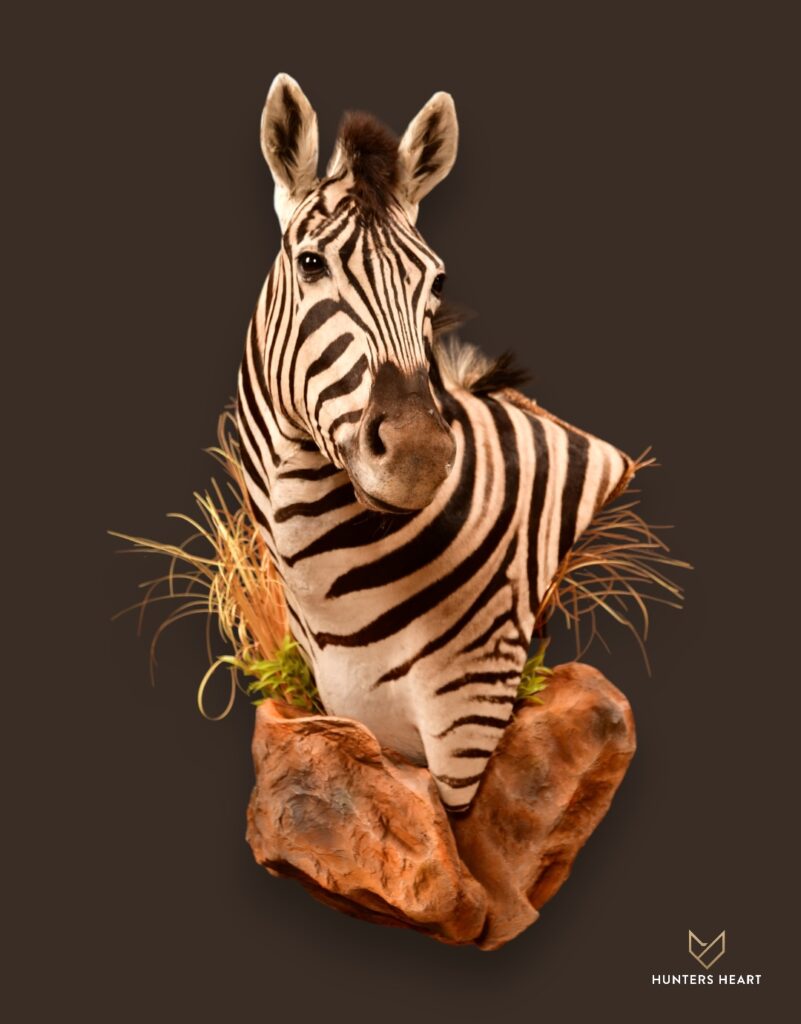 Zebra Wall Pedestal Mount